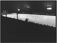 Elm Park